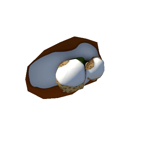 island snow_ mushroom4